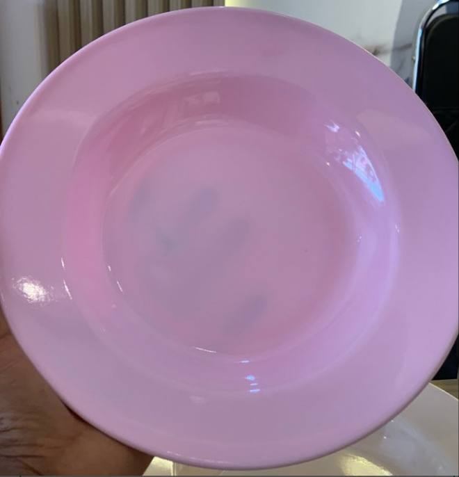 Plate P50009