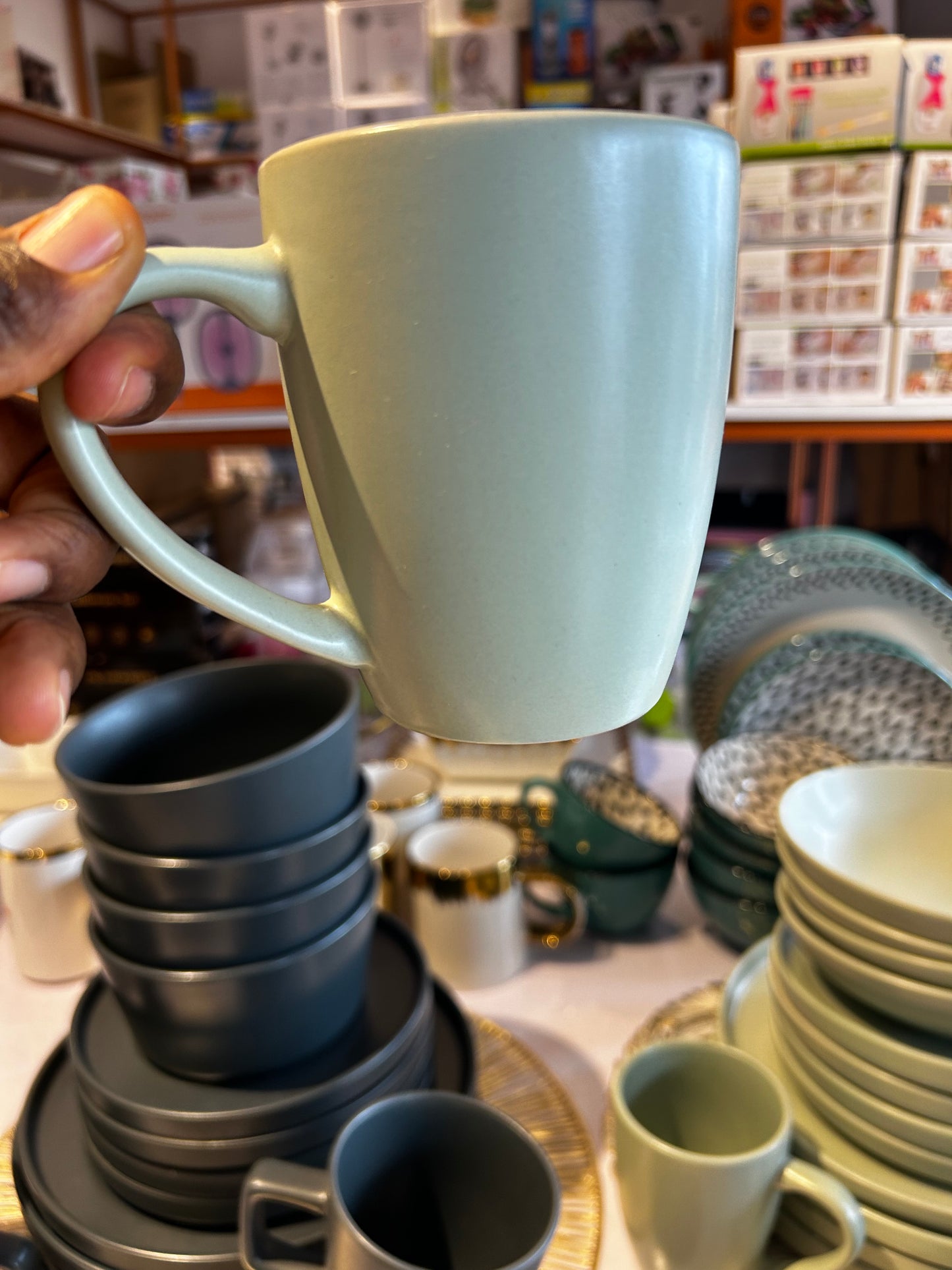 16 Piece Mint Dinner Set YL16-6001