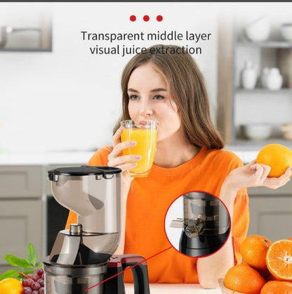 sokany 800w high performance slow juicer sk-01005