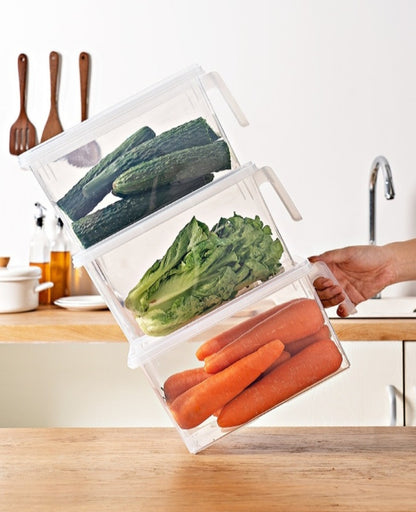 Food Grade Refrigerator Storage plastic boxes