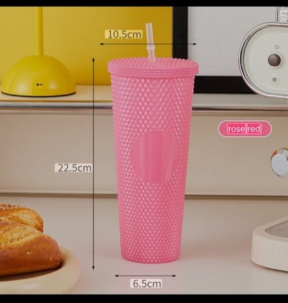 Double Layer Plastic Straw Cup