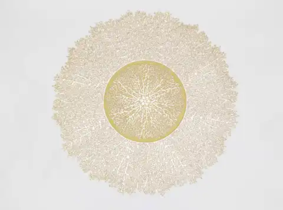 PVC Placemats
