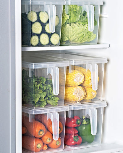 Food Grade Refrigerator Storage plastic boxes