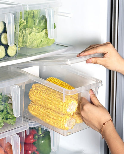 Food Grade Refrigerator Storage plastic boxes