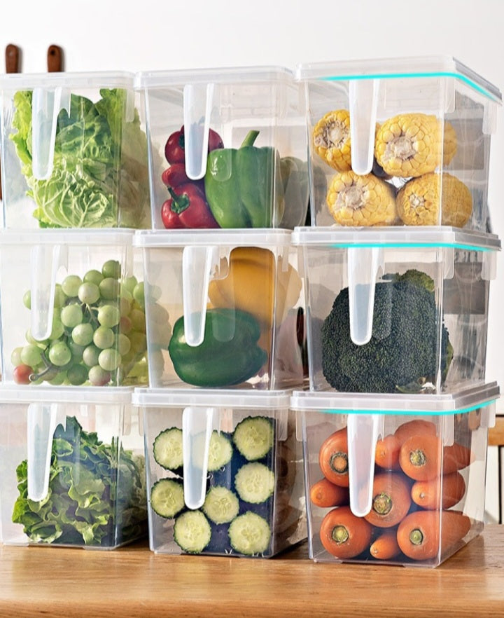 Food Grade Refrigerator Storage plastic boxes