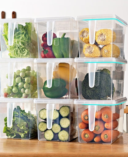 Food Grade Refrigerator Storage plastic boxes