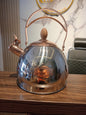 2.8L Vicalina Stainless Steel whistle kettle